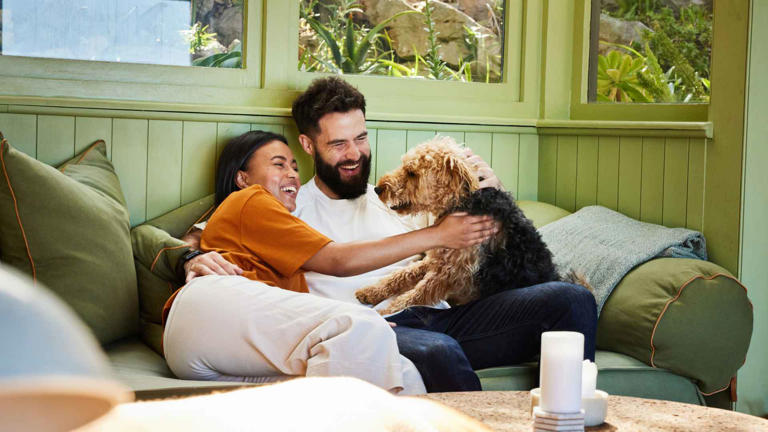 Laughing couple playing with their dog on their living room sofa