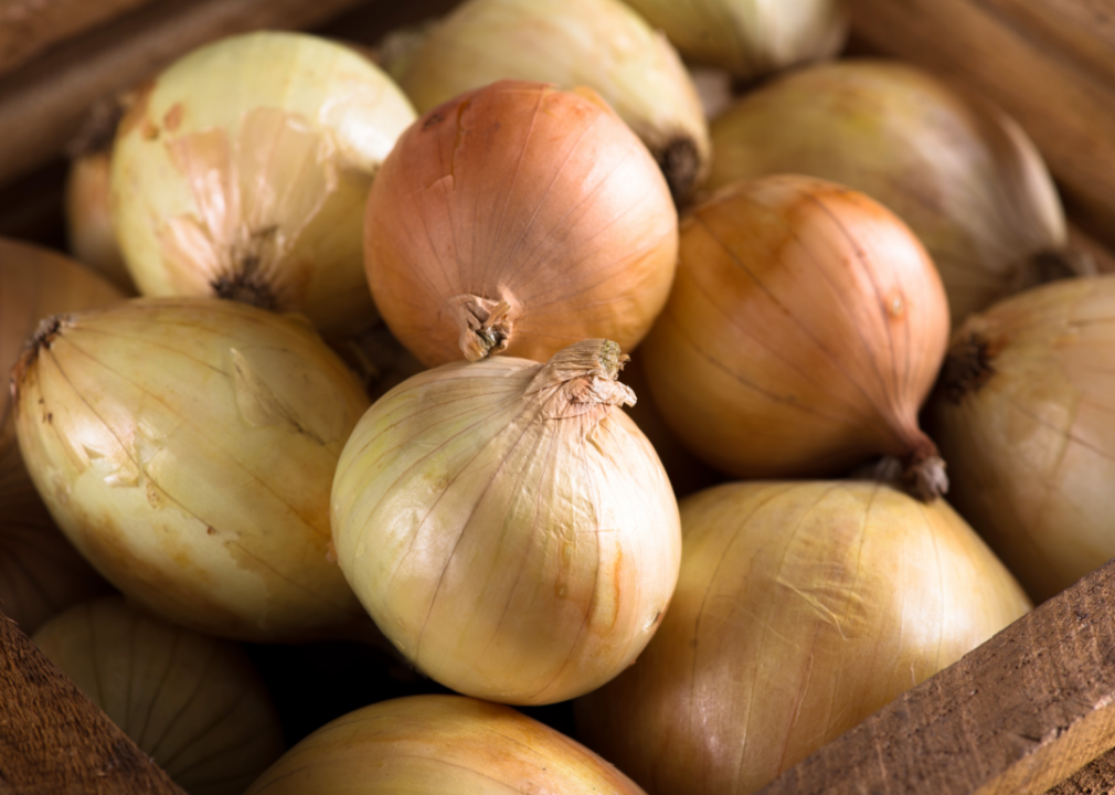 <p>Onions are another example of food in the allium family that can be poisonous to dogs due to the thiosulfate it contains. Like with other alliums, certain dog breeds are more vulnerable, and their size <a href="https://www.dogster.com/dog-food/can-dogs-eat-onions-what-if-your-dog-ate-onions">makes a huge difference</a>.</p>