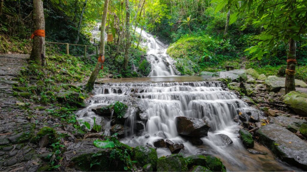 <p>Chiang Mai is surrounded by natural beauty, and there are many opportunities to experience that beauty. A <a href="https://viator.tp.st/wFEL7xsS" rel="nofollow noopener sponsored">jungle trekking trip</a> is a good way to explore Thailand's jungles and get a break from city life. Day trips are available, but for the best experience, take an overnight stay. Most tours usually include a stay in a local village, a unique experience offering an insight into life in Thailand in the rural areas.</p><p>You’ll have many opportunities to <a href="https://viator.tp.st/DySQqwoQ" rel="nofollow noopener sponsored">swim in waterfalls</a> and see wildlife throughout your trek. However, there are many tarantula nests, so it may not be the best idea if you’re arachnophobic.</p>