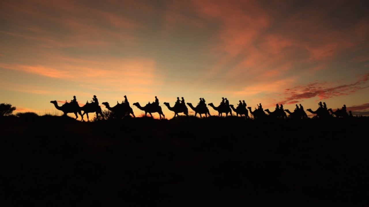 <p>We highly recommend this experience. Nothing is quite like waking up before dawn, greeting the camel train, and feeling yourself lifted into the air on their backs. As you wind through the desert, the pre-dawn is dark, but your leader knows the way, and you’ll find the slowly emerging light enchanting. However, nothing prepares you for the breathtaking spectacle of seeing the sunrise behind Uluru.</p><p>The best part about doing this in the early morning is that the day’s heat hasn’t yet penetrated the air. A delicious breakfast at the camel tour headquarters follows the ride. The <a href="https://www.ulurucameltours.com.au/">Uluru Camel Tour</a> can be booked online. You will be picked up from a designated area near your accommodation.</p>