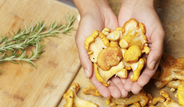 Elevate Your Dinner Table With Simple, Elegant Tagliatelle And Chanterelles