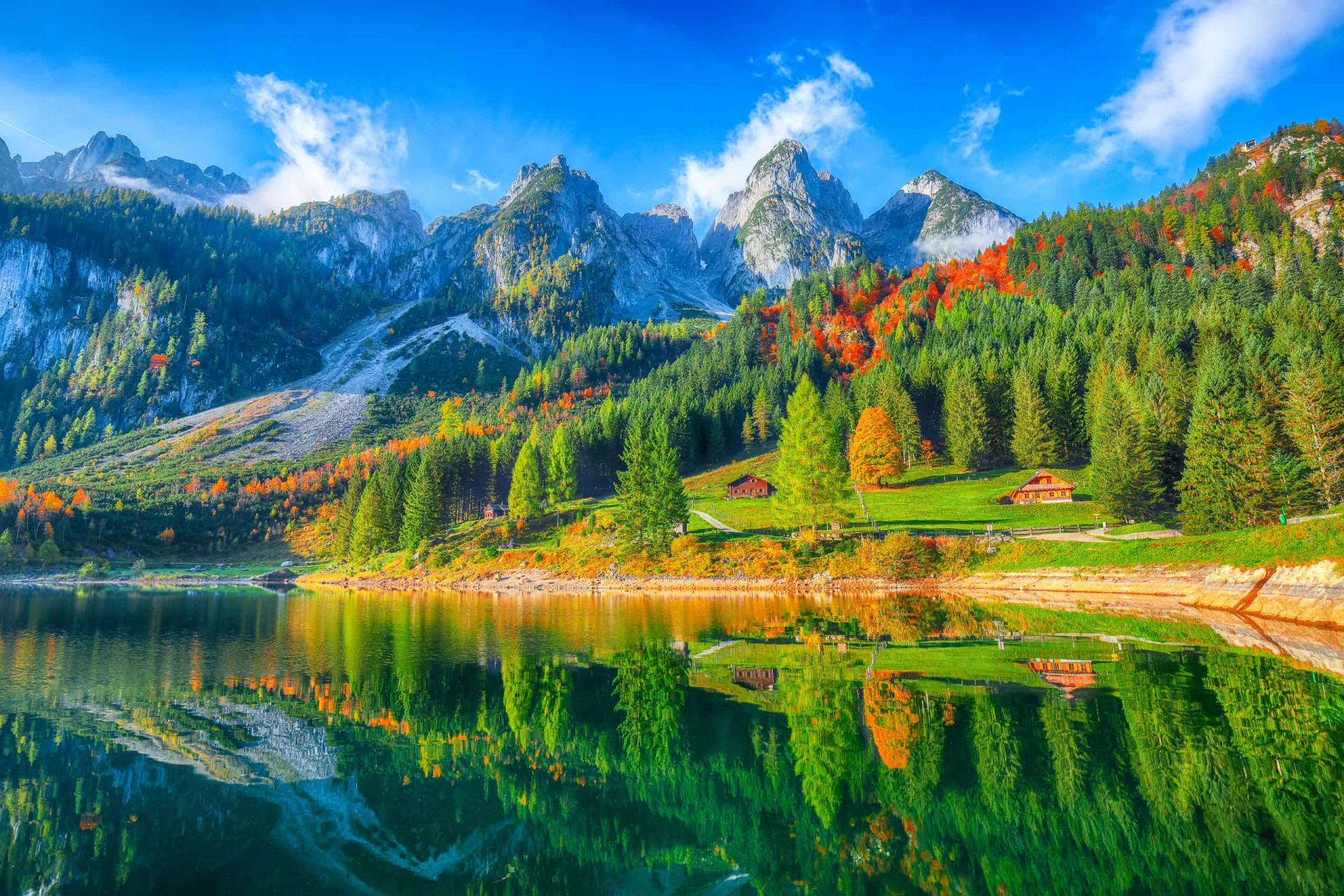 Amazing European forests you'll want to explore