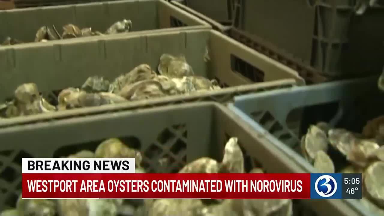 FDA Puts Out Warning About Oysters Sold From Westport