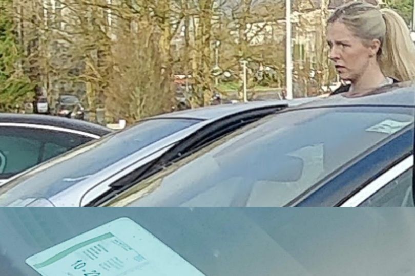 lisa chambers spotted driving untaxed car despite getting €27,500 allowance to cover motor expenses