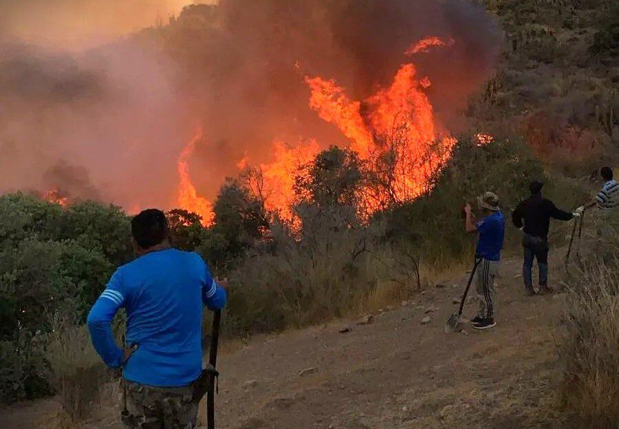 llaman a evacuar sector de tiltil tras rápido avance de incendio forestal