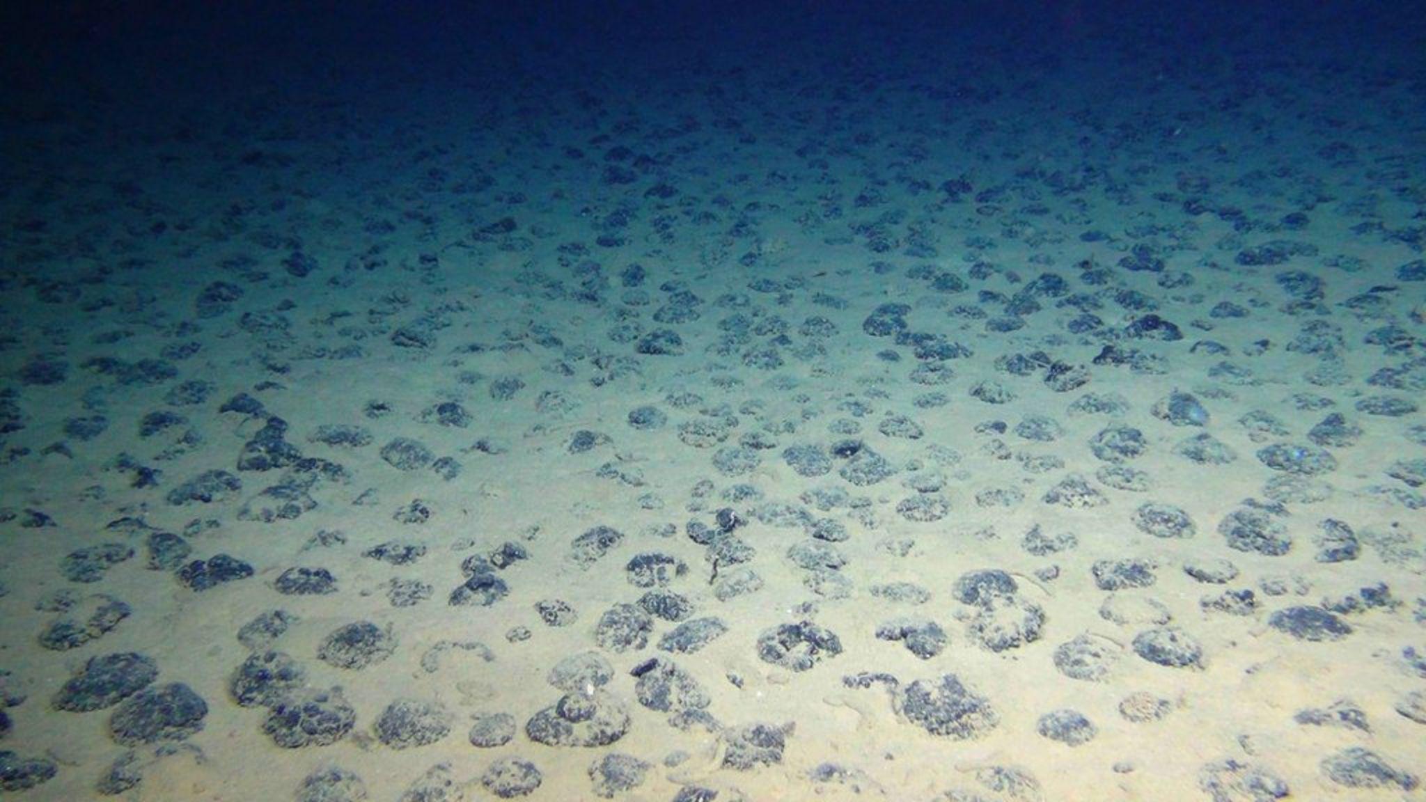 la batalla por los metales que yacen en el fondo de los océanos por la que greenpeace podría ser expulsada de un órgano de la onu