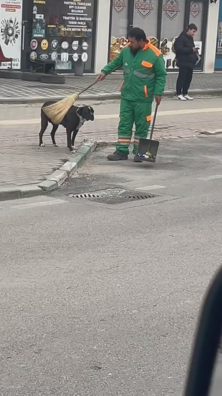sokak köpeğinin sırtını süpürge ile temizleyen görevli yüzleri gülümsetti