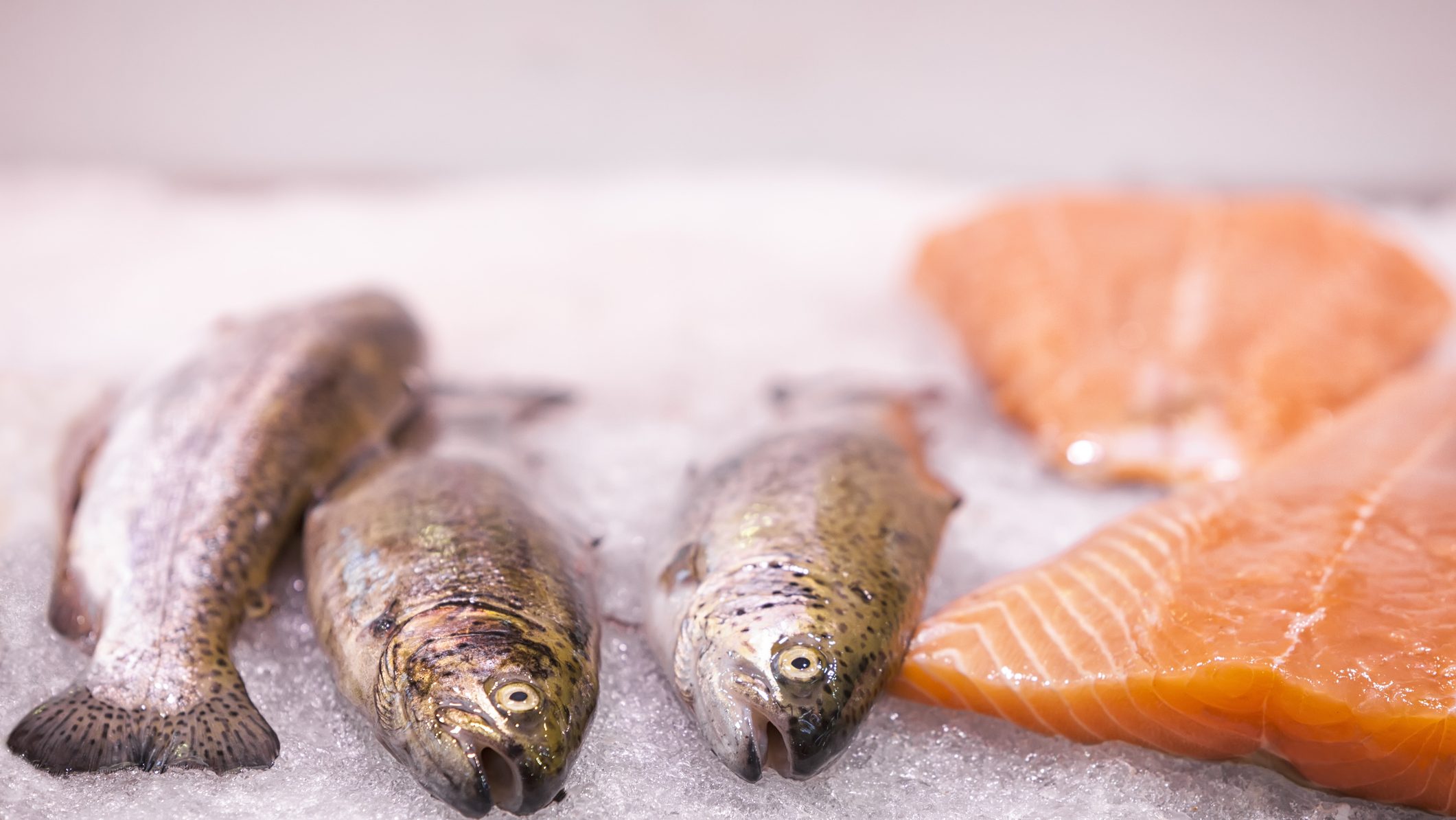 5 trucos infalibles para saber si el pescado está realmente fresco