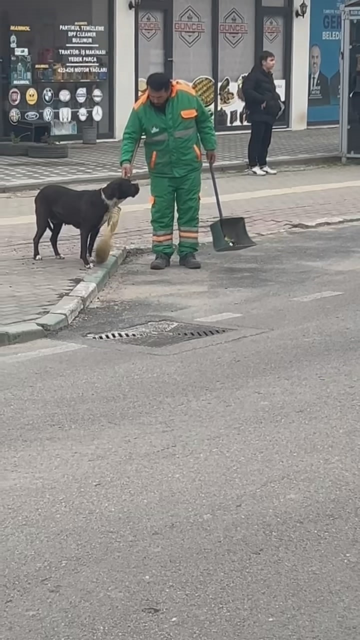 sokak köpeğinin sırtını süpürge ile temizleyen görevli yüzleri gülümsetti