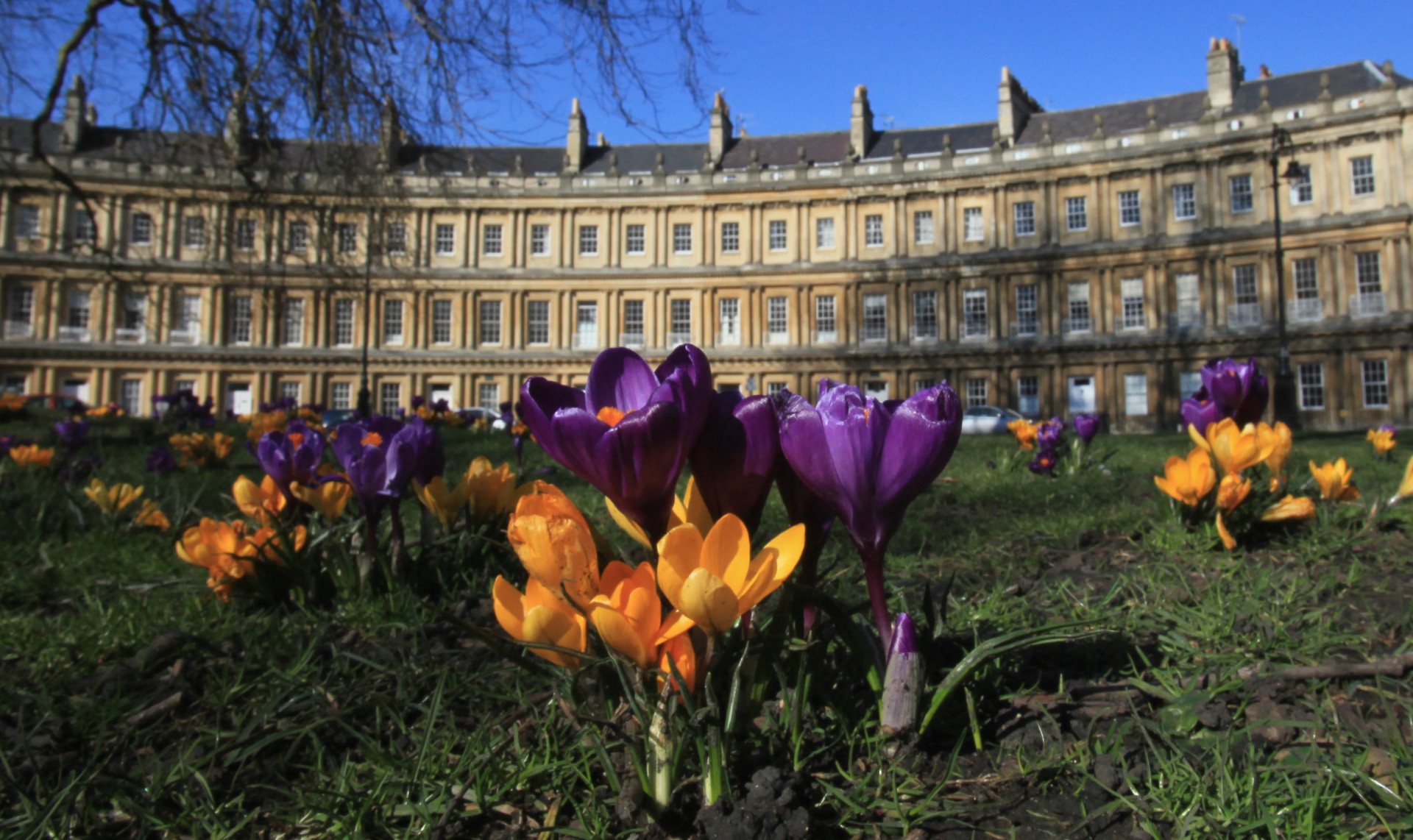 Fans of crocus flowers can see them in bloom outside the Circus in Bath.<p>You may also like:<a href="https://www.starsinsider.com/n/494084?utm_source=msn.com&utm_medium=display&utm_campaign=referral_description&utm_content=344596v2en-us"> The most absurd female deaths in literature</a></p>