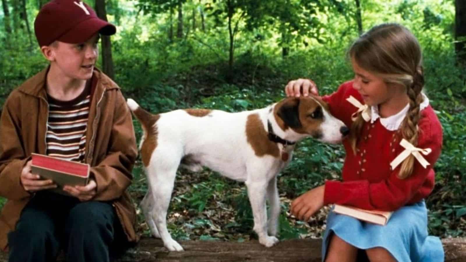 <p><span>Set in the 1940s, “My Dog Skip” is a coming-of-age story about a boy and his Jack </span><a href="https://frenzhub.com/best-dogs-for-anxiety/"><span>Russell Terrier</span></a><span>. This film captures how pets shape our childhoods and help us grow. It’s a touching reflection on friendship and growing up with a pet, making it a nostalgic and emotional film to watch with your dog.</span></p>