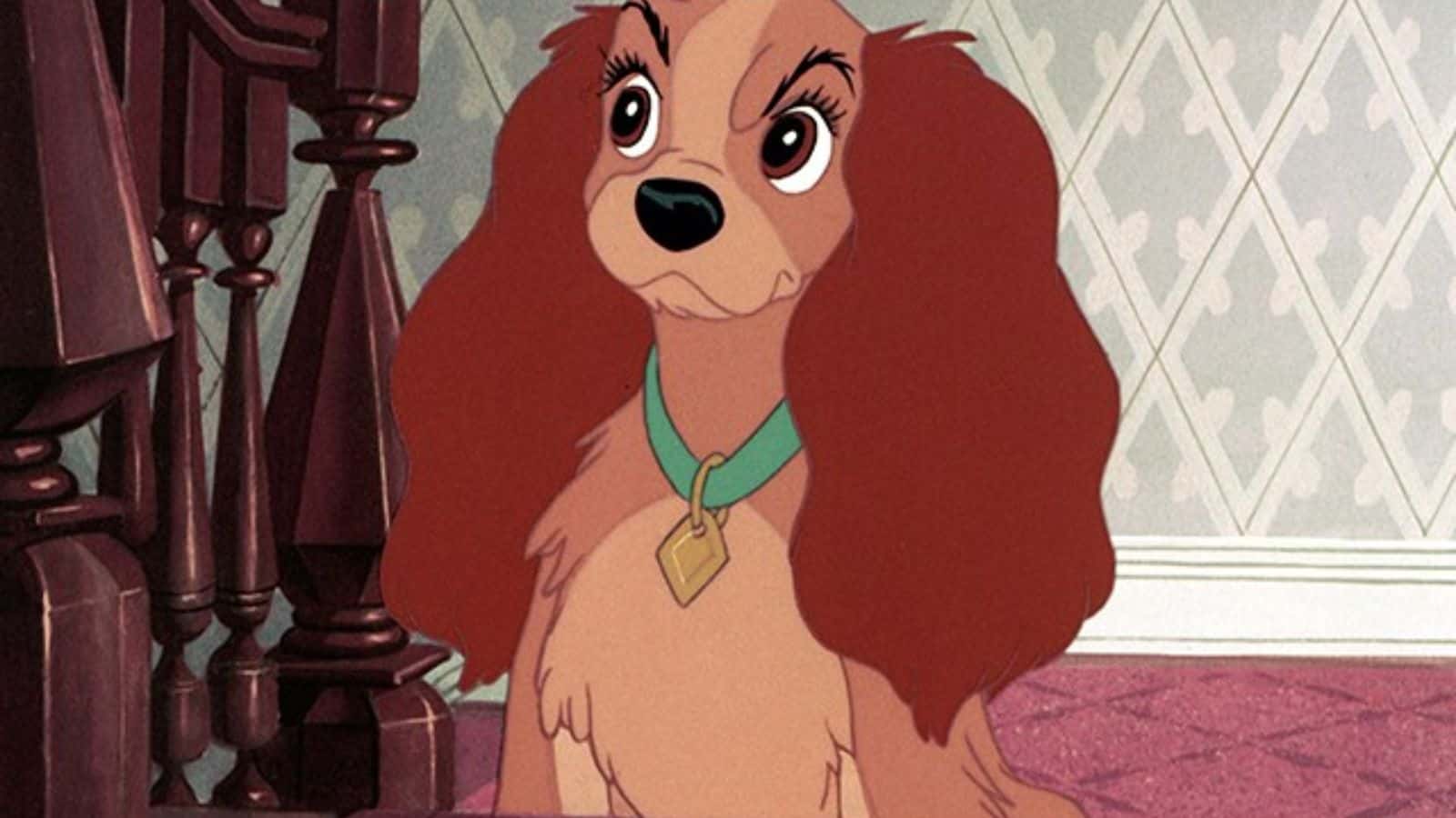 <p><span>Disney’s “Lady and the Tramp” is a timeless love story between two dogs from different worlds. The charming story and memorable spaghetti dinner scenes make it a delightful watch for you and your dog. Watching the animated antics and adventures of Lady and Tramp is guaranteed to bring smiles and maybe inspire a special dinner treat for your pet.</span></p>