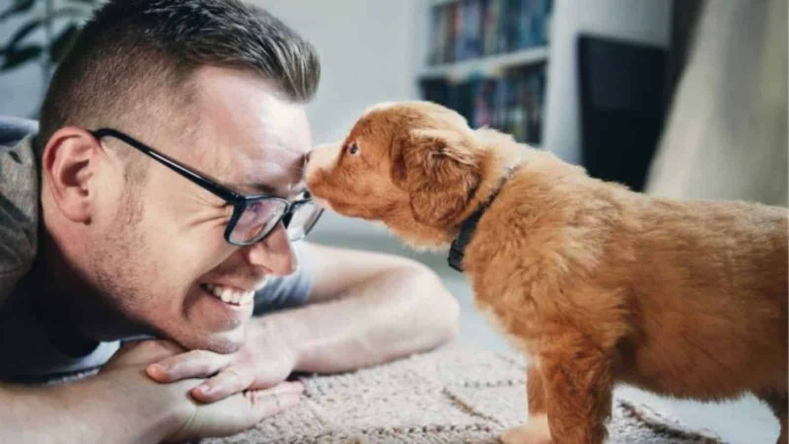 <p><span>Pet owners and animal lovers discuss their pets’ peculiar dislikes, mirroring human pet peeves like interruptions and talking with a full mouth. A popular internet forum user explores what irritates their pets the most.</span></p><p><a href="https://frenzhub.com/pet-peeves-that-owners-say-their-beloved-pets-have/"><b>10 Pet Peeves That Owners Say Their Beloved Pets Have, Do Yours?</b></a></p>