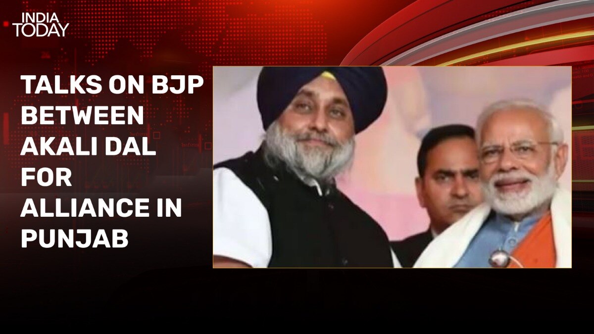 Lok Sabha Polls: BJP, Akali Dal Alliance Next?