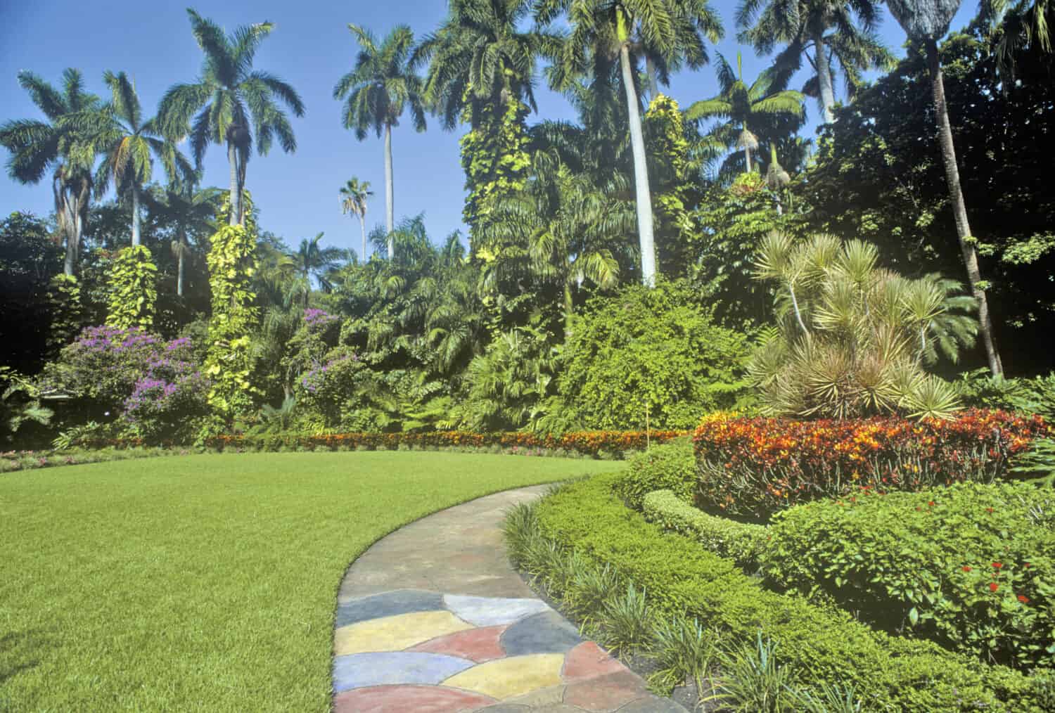 Great Shade Plants for Florida Yards