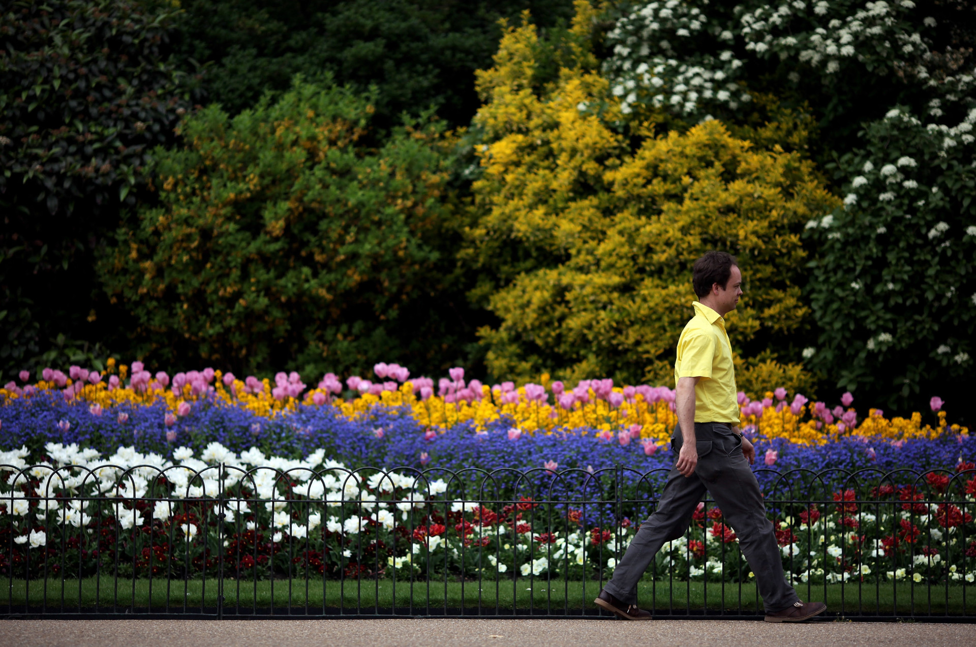 A colourful bed of flowers next to a path in St James' Park, London.<p><a href="https://www.msn.com/en-us/community/channel/vid-7xx8mnucu55yw63we9va2gwr7uihbxwc68fxqp25x6tg4ftibpra?cvid=94631541bc0f4f89bfd59158d696ad7e">Follow us and access great exclusive content every day</a></p>