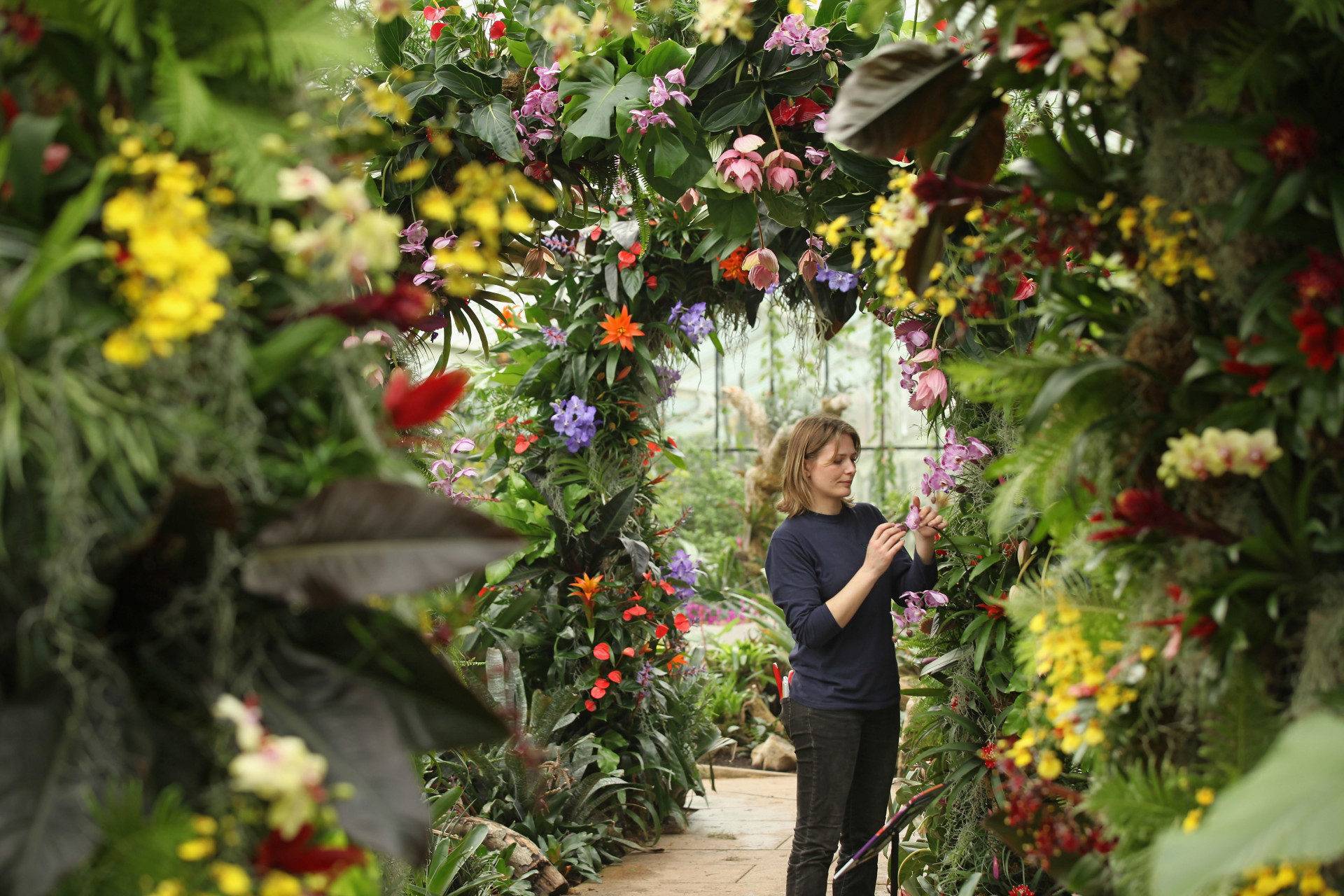 Kew Gardens is host to a large display of exotic Spring flowers from all corners of the world.