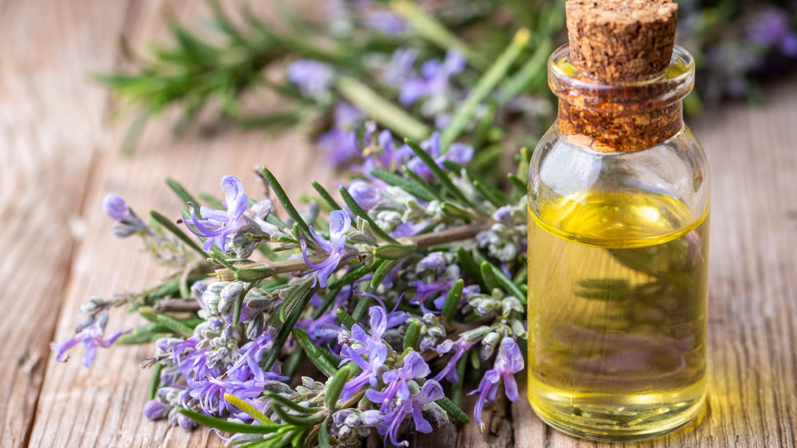 Best rosemary oil for silky and smooth hair Top 5 picks!