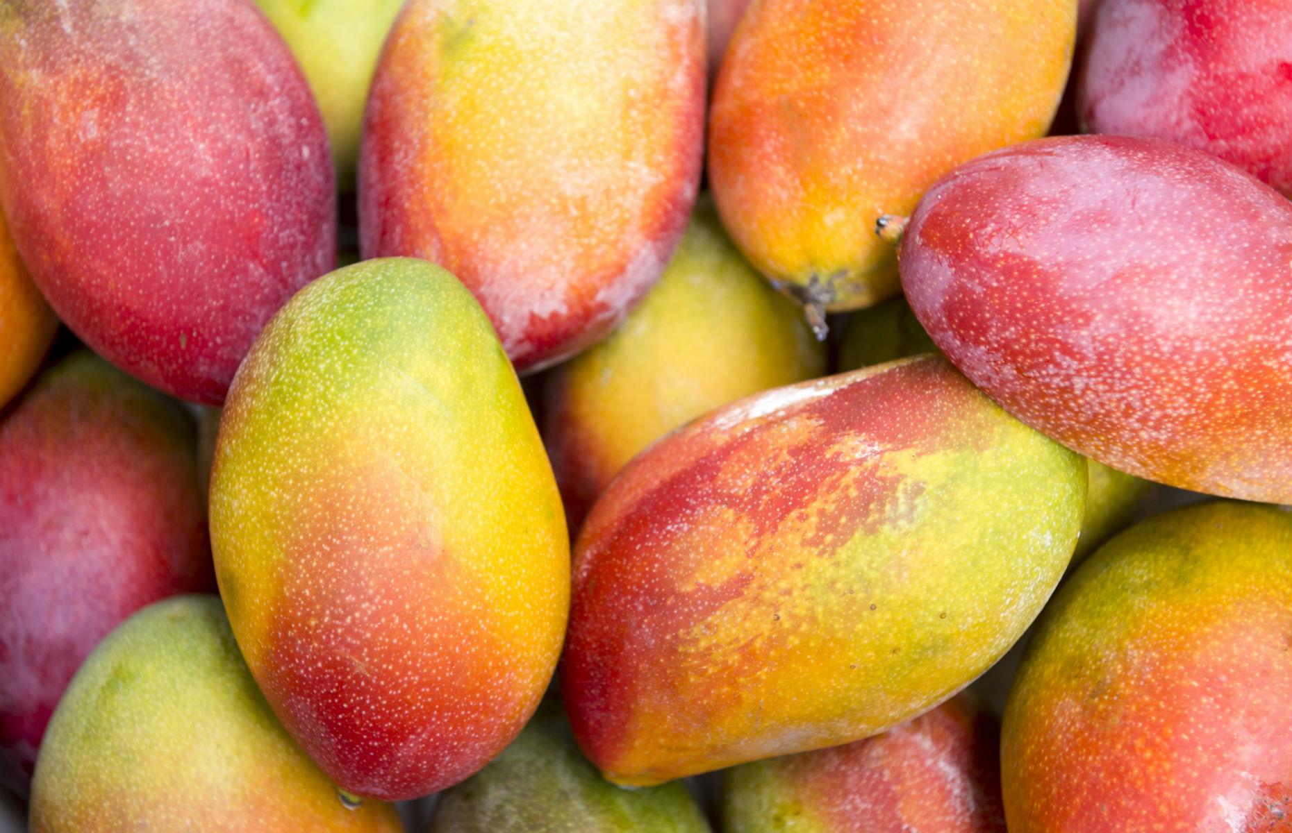 39 foods you should NEVER store in the fridge