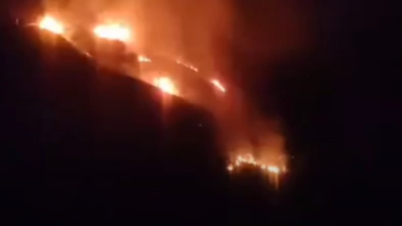 χωρίς ενεργό μέτωπο η φωτιά σε δασική έκταση στην αράχοβα μεσσηνίας - προληπτική εκκένωση οικισμού - δείτε βίντεο