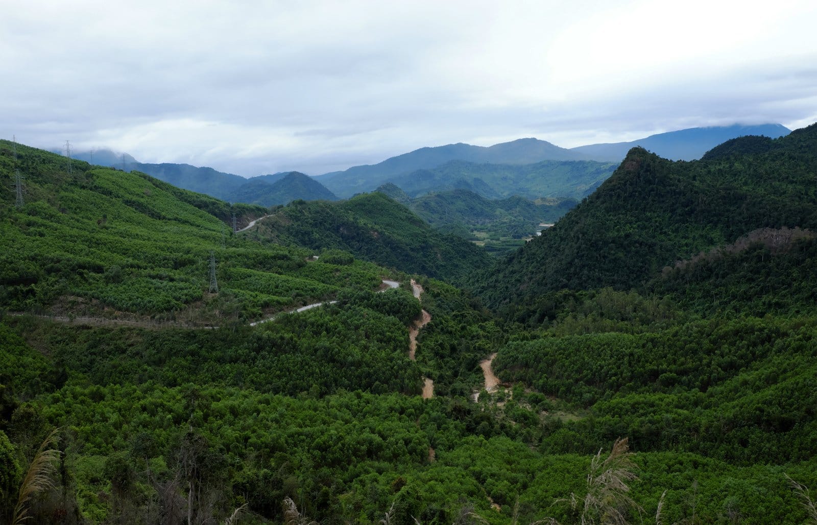 <p class="wp-caption-text">Image Credit: Shutterstock / xuanhuongho</p>  <p><span>The Ho Chi Minh Trail, once a strategic supply route for the North Vietnamese, has been transformed into a path of discovery and reconciliation. Veterans who navigated this labyrinth during the war now guide trekkers through the dense jungles and rugged terrain, offering insights into the ingenuity and resilience of the Vietnamese people. The trail spans a significant portion of Vietnam, with various entry points offering different difficulty levels and exploration. Along the way, hikers can expect to encounter hidden bunkers, unspoiled natural landscapes, and remnants of the past that tell the story of Vietnam’s struggle for independence.</span></p>
