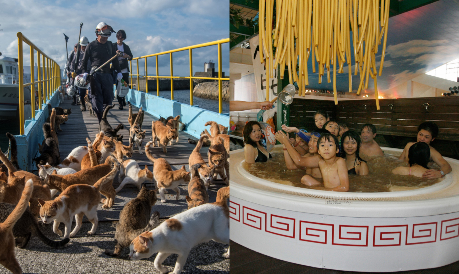 The most bizarre travel experiences in the world