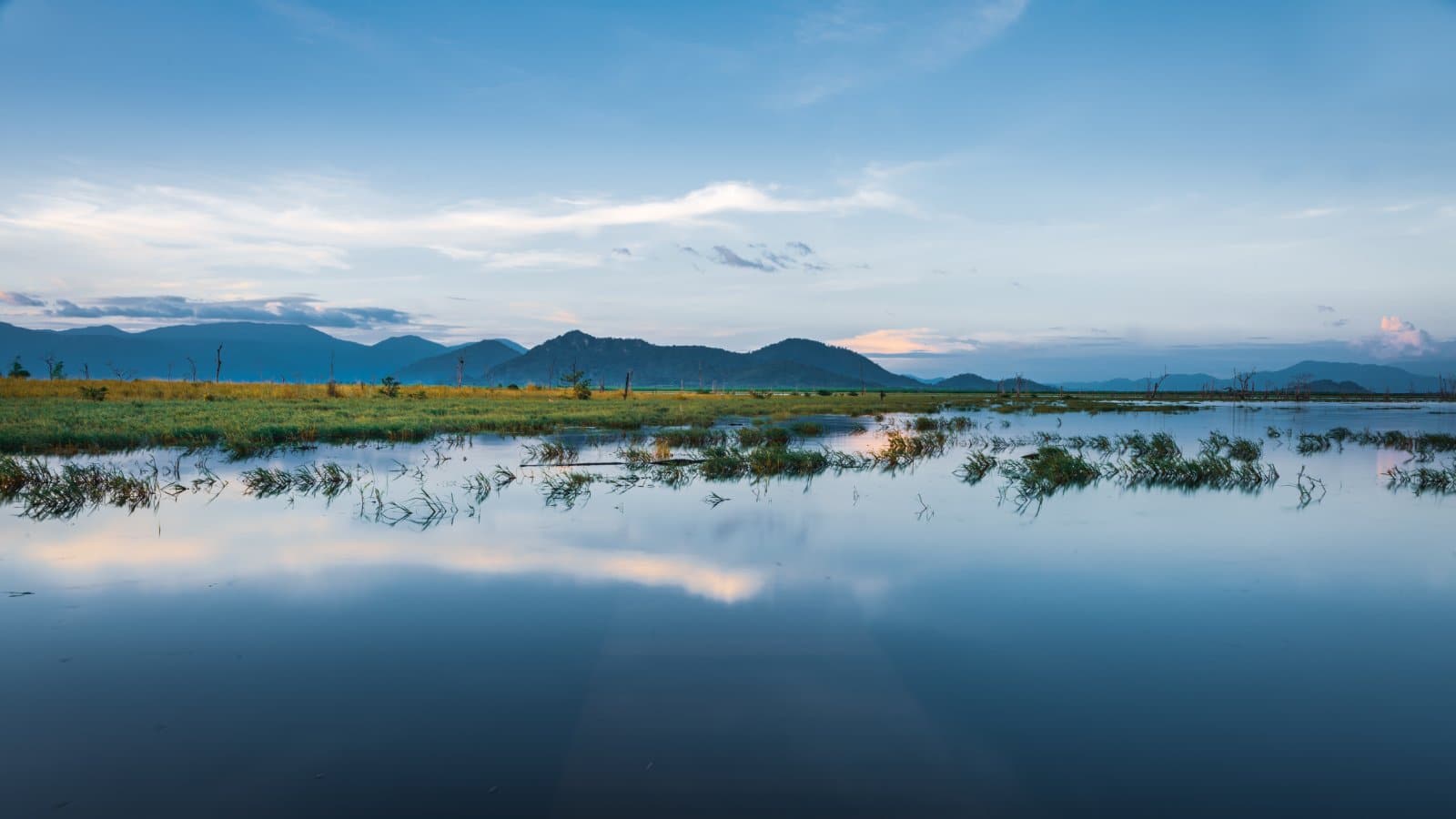 <p class="wp-caption-text">Image Credit: Shutterstock / Pagnarith Sao</p>  <p><span>The Cardamom Mountains in southwest Cambodia offer one of Southeast Asia’s last unspoiled wilderness areas. Veterans leading treks in this biodiverse region share stories of its strategic importance during Cambodia’s years of conflict and its role as a refuge for endangered wildlife. The dense jungles, waterfalls, and remote villages provide a backdrop for discussions on conservation efforts and the challenges of protecting such a vital ecosystem in the post-conflict era.</span></p>
