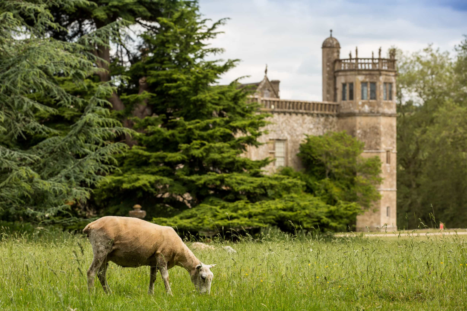 The most captivating British towns you have to visit