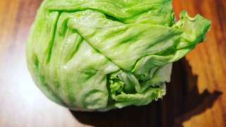 野菜は「冷凍保存」が正解！気になる保存方法のコツや保存期間を紹介