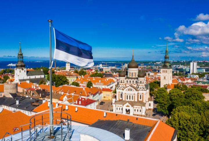 <p>Estonia, known for its digital innovation and pristine landscapes, invites descendants of Estonian emigrants to rediscover their familial ties. Through its citizenship by lineage program, the country facilitates the journey of anyone seeking to reclaim their Estonian heritage. Generally, eligibility hinges on demonstrating heredity from an Estonian ancestor, usually a parent or grandparent. To support their claim, one must provide authentication, including birth and marriage certificates and naturalization records.</p>