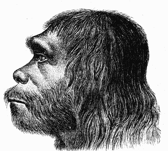 why did modern humans replace the neanderthals? the key might lie in our social structures