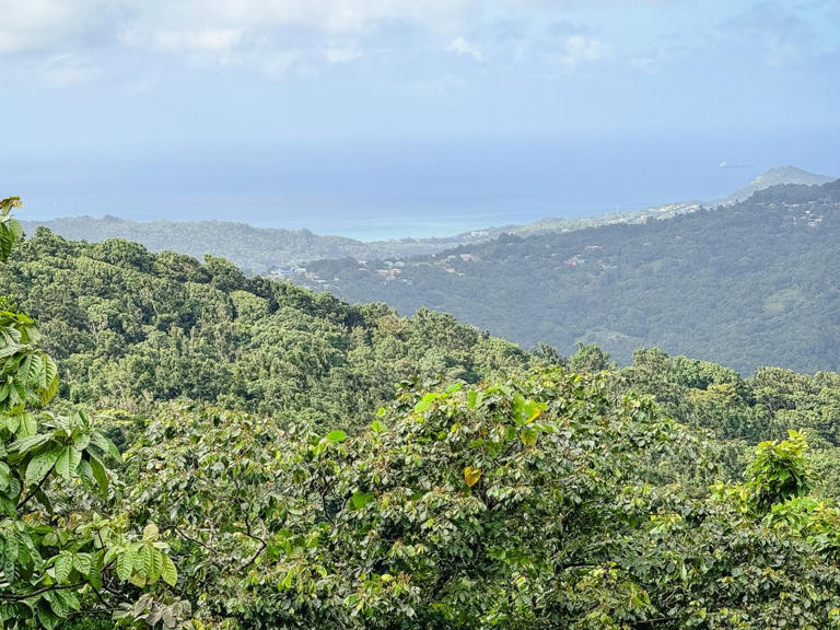 Review: Royal Clipper Sailing the Windward Islands