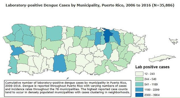 Puerto Rico declares dengue fever epidemic amid alarming surge of 'bone