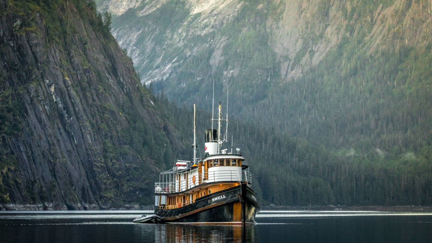 <h3>4. Maple Leaf Adventures’ “Alaska Supervoyage”</h3> <ul>   <li>Cost: From $8,471 per person</li>   <li>Days: 12 days</li>   <li>Departure port: Vancouver, Canada</li>   <li>End port: Vancouver, Canada</li>   <li><a class="Link" href="https://mapleleafadventures.com/destinations/12-day-alaska-supervoyage/" rel="noopener">Book now</a></li>  </ul> <p>The Inside Passage is popular for a reason. Here you’ll find remote islands dappled with stately spruce trees, dreamy fields of pink fireweed, and long stretches of undisturbed, rocky beaches. But if you motor a bit further, there’s a good chance you’ll be greeted by electric-blue icebergs, dizzying fjords, and dramatic, millennia-old glaciers. And, sooner or later, you’ll also meet communities of hardy locals. What’s appealing about this Maple Leaf Adventures itinerary is that it’s a good mix of Alaska’s natural landscapes and coastal cityscapes. Visits to bustling port towns like Sitka and Ketchikan are balanced with days spent entirely in the wilderness of Endicott Arm and Misty fjords.</p> <p>Holding just 12 guests, the ship is one of the smallest sailing commercially in Alaska, so it’s able to tuck into areas the mega-ships can’t. And it’s a unique ways to spend 12 days—the <i>Swell </i>is a converted tugboat.</p>