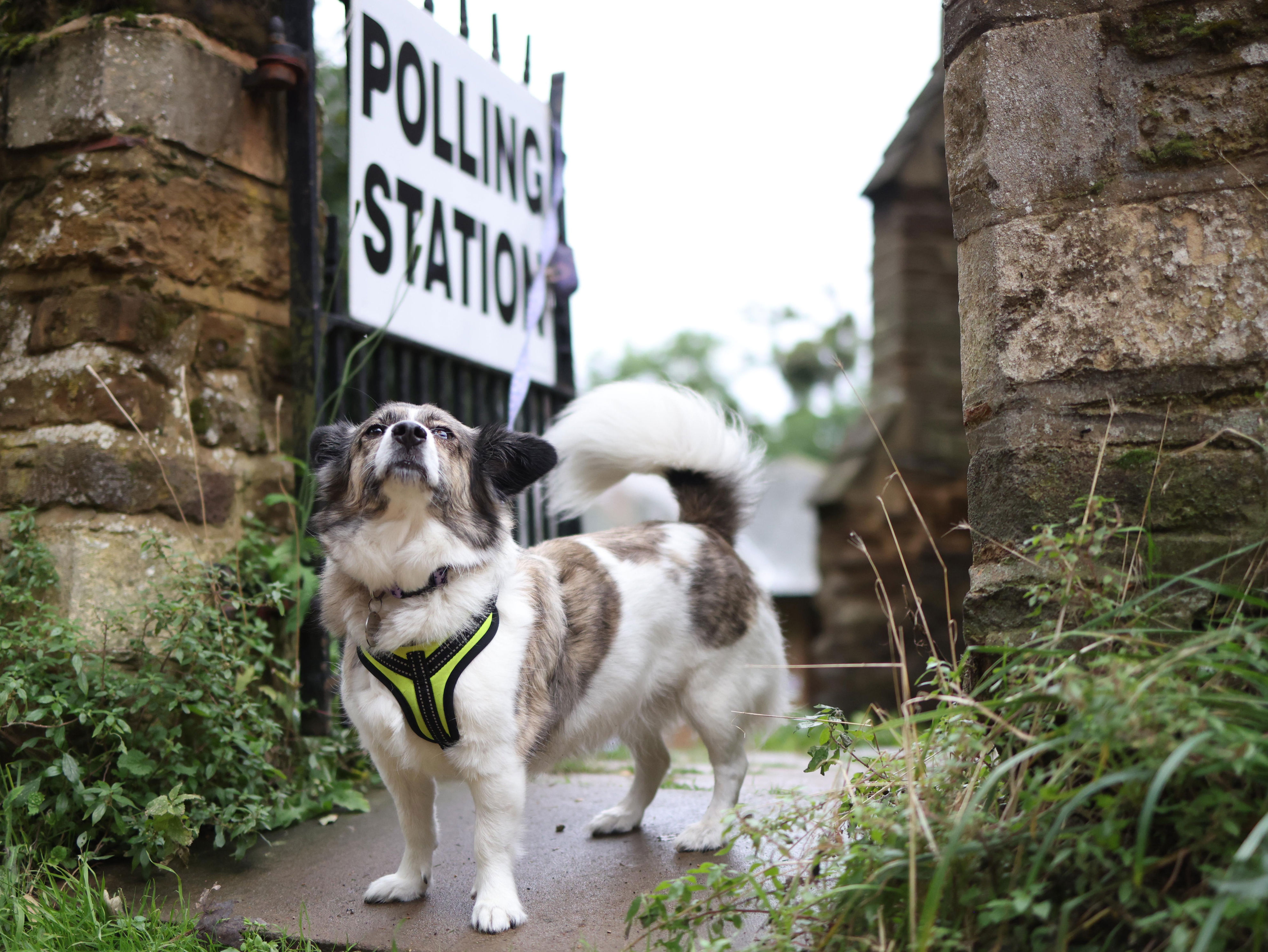 local and mayoral elections may 2024: where are they, the key dates and what to look out for