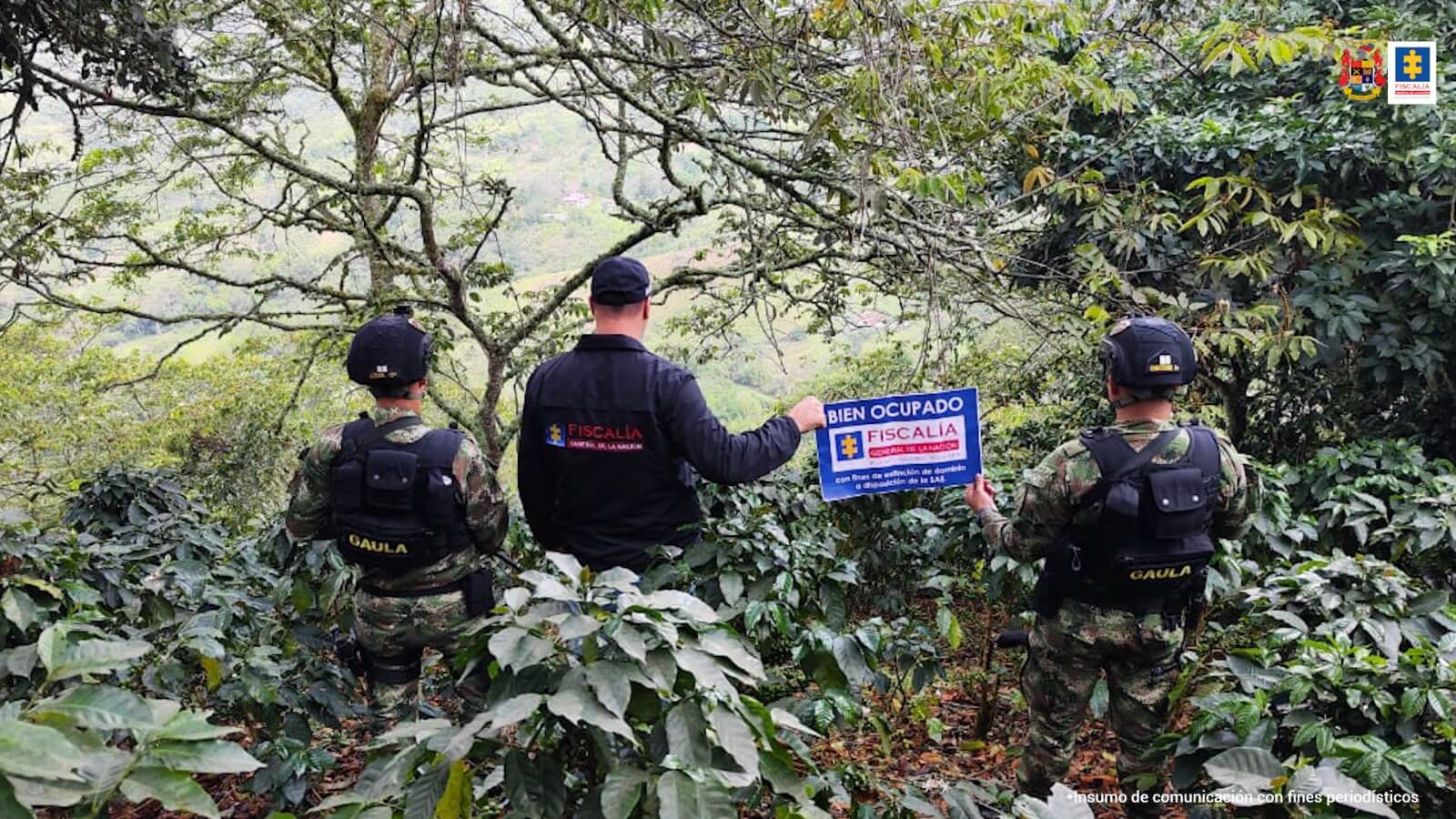desmantelada red de contrabando en barranquilla: policías y particulares implicados
