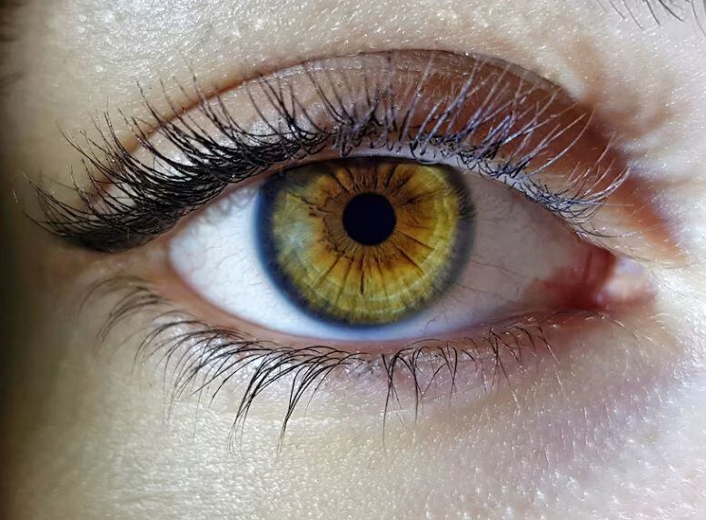 ¿sabías que tus ojos se “cuidan por sí solos”?: conoce el fascinante privilegio inmune