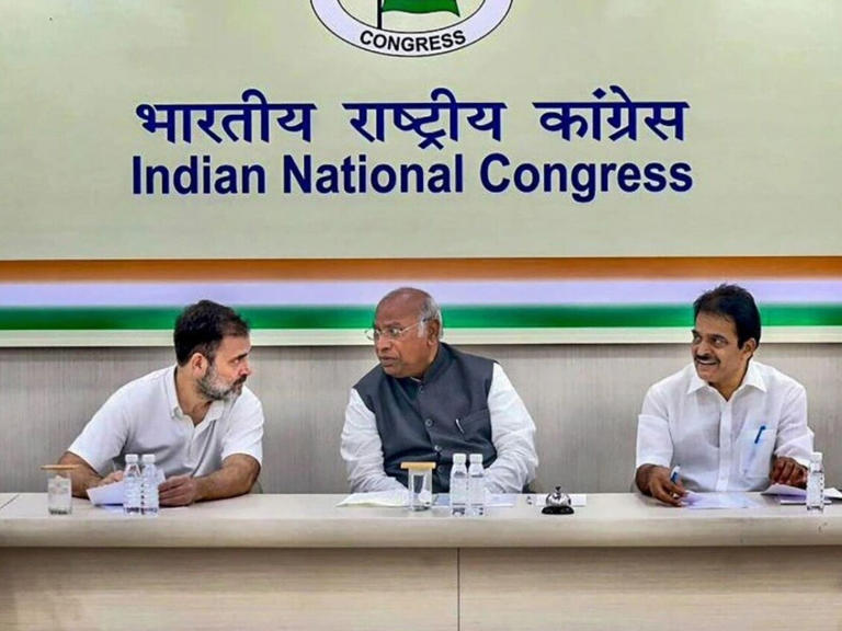 Lok Sabha Elections 2024 Congress Party Releases Eight List of