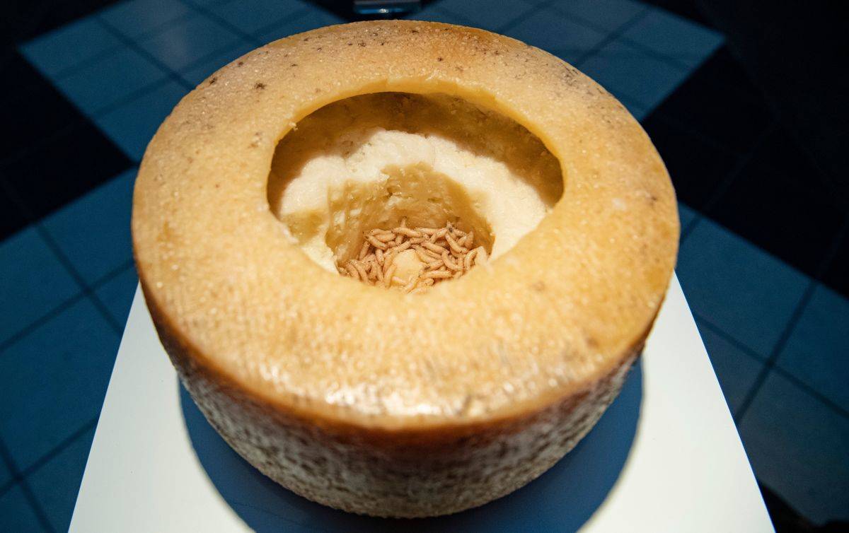<p>Not eating maggots seems like common sense. But in the Mediterranean, it's a delicacy. Casu marzu is fermented with maggots and cheese flies. It is considered the "world's most dangerous cheese" and is outlawed in several countries.</p> <p>What's the risk? According to the European Food Safety Authority, casu marzu is intended to be eaten while the maggots are alive. If you don't chew them, they can burrow into your intestines. Plus, live maggots can leap up to six feet into the air. That's why casu marzu is found on the black market.</p>