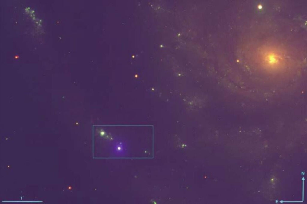 científicos registran las primeras etapas de una supernova