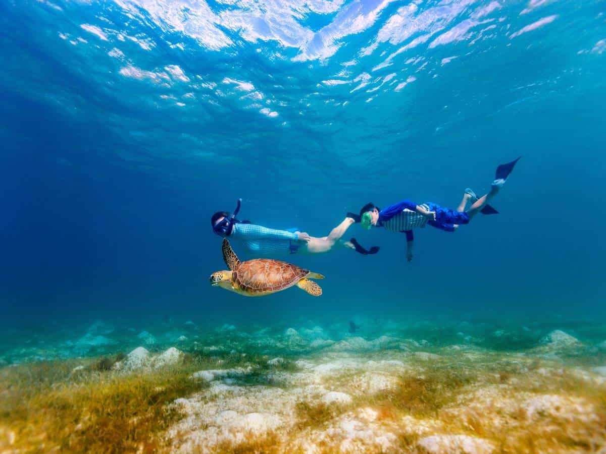 <p>So far, this list of things to do in Hawaii includes activities both on land and in the sky. But we haven’t dived below the surface yet, and that’s where so much of Hawaii’s beauty lies.</p><p>Hawaii’s crystal clear waters are filled with colorful fish, calm turtles, playful dolphins, endangered monk seals, and much more. It’s a completely different world!</p><p>You can easily spend hours in some of Hawaii’s best snorkeling spots, like Hanauma Bay on Oahu, Kealakekua Bay on the Big Island, and Molokini off the coast of Maui.</p><p>That said, be sure to give the sea life their space, as you would with all wild animals.</p>