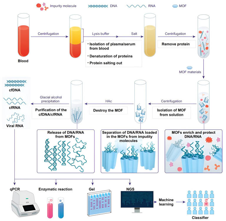 Revealing characteristics of circulating cell-free RNA in the blood of ...