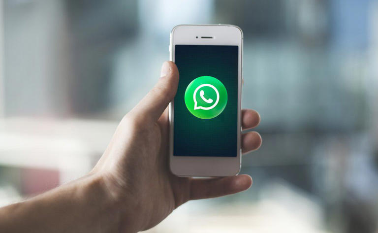 Cómo activar el modo "Word" en WhatsApp?