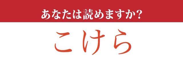 【難読漢字】「杮」って読めますか？ 果物ではありません