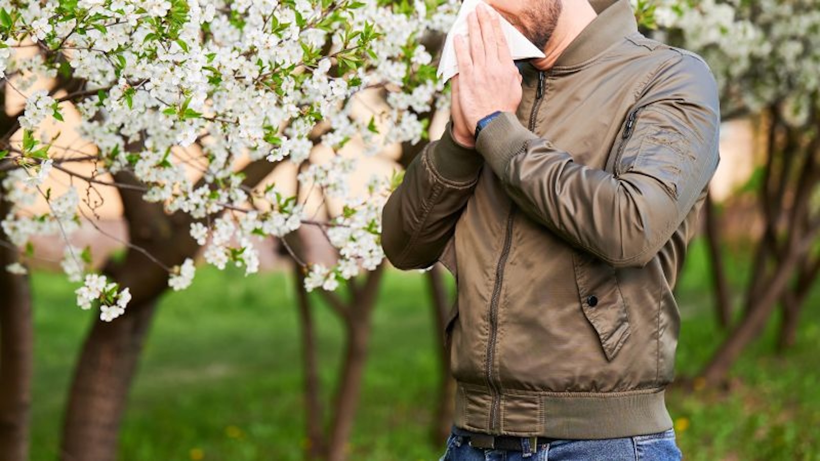 ¿tienes alergia primaveral? te contamos cómo saberlo y qué hacer para superarla