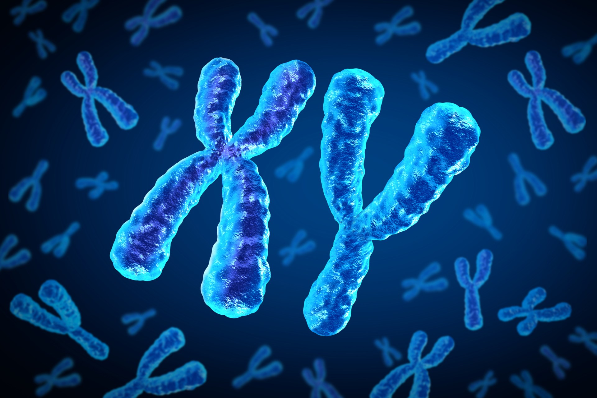 the y chromosome is vanishing. what does it mean for men?