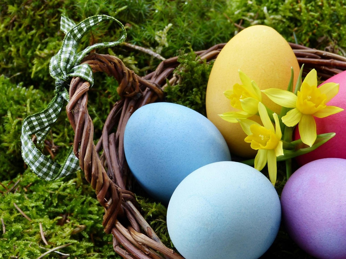 things to do this easter long weekend: a state-by-state guide