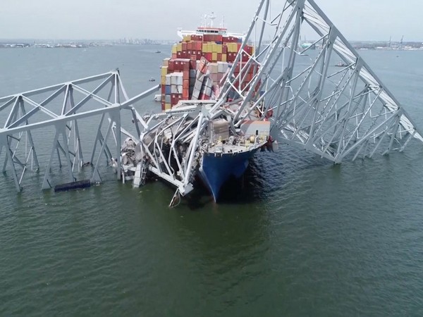 baltimore bridge collapse to impact coal-cobalt flow, disrupting trade at major us port