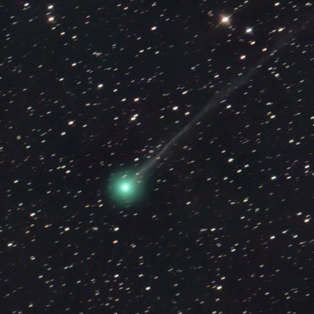 komet pons-brooks auch in österreich sichtbar