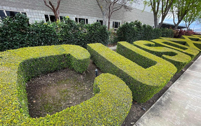 Shrubbery spells out the initials for Clovis Unified School District at the districts Professional Development Building site along Clovis Avenue just east of Sunnyside Ave., photographed Wednesday, March 27, 2024 in Clovis.